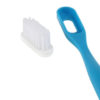 recharge-brosse-a-dents-e1526139492313